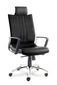 Kursi Direktur/Pimpinan Stramm Wilson I